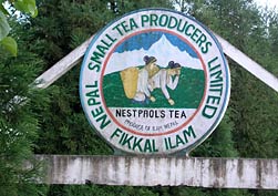 Táto čajová fabrika sa stala na niekoľko dní našim druhým domovom, pretože sme boli ubytovaní priamo v nej. Nepal Small Tea Producers LTD. Fikkal, Ilam, Nepál