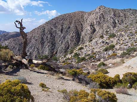Národný park Joshua Tree 3