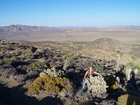 Národný park Joshua Tree 6